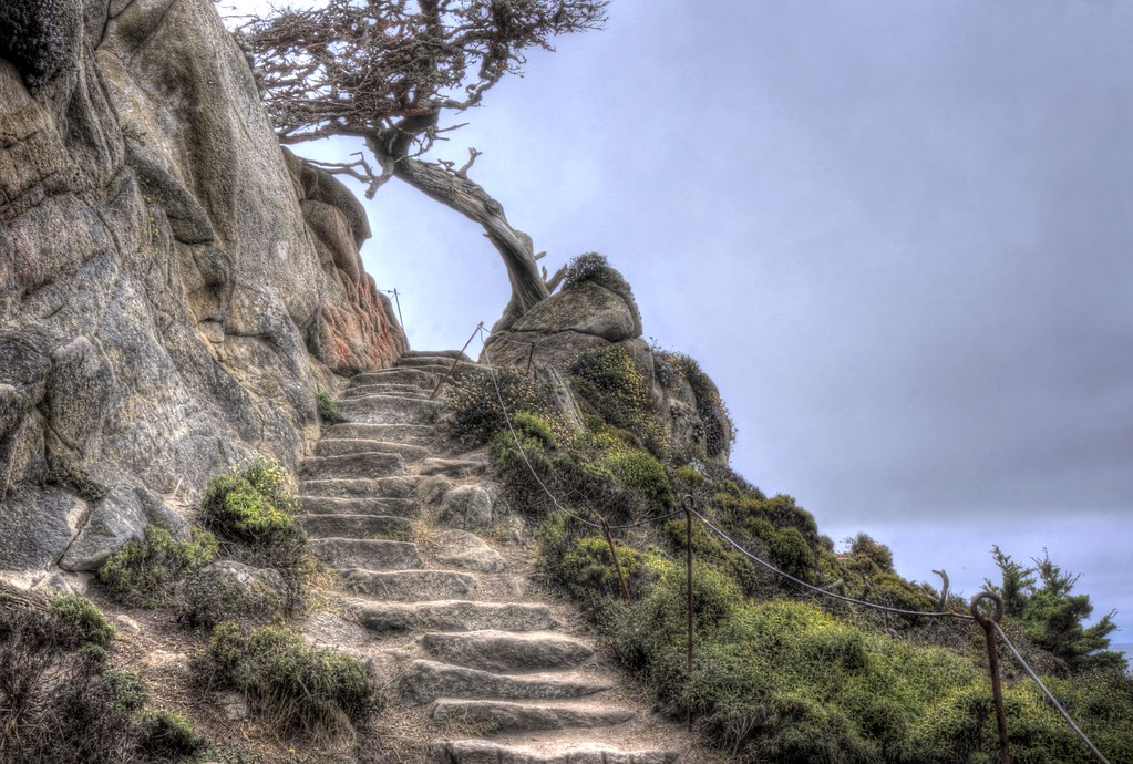 Health Above All&nbsp;Else