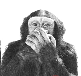 Can You Keep A Secret?