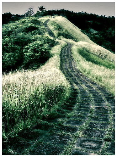 The International Life